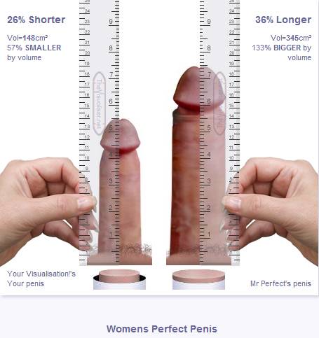 Porn Dick Size