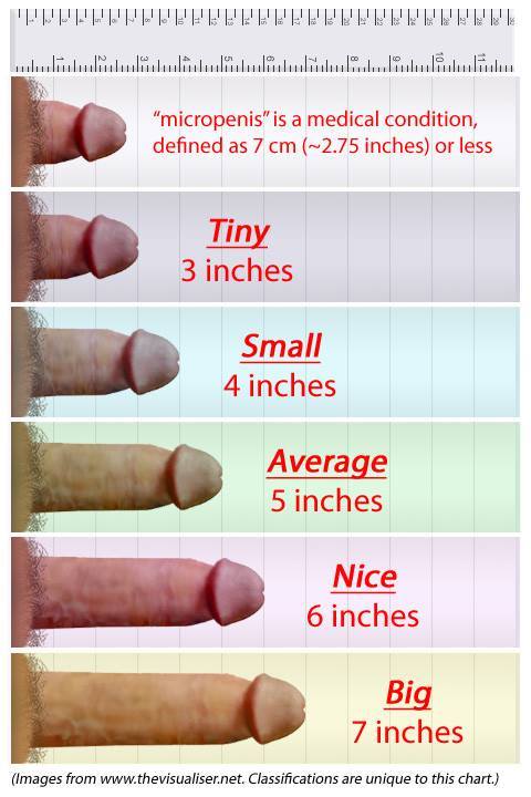 best of Penis size porn