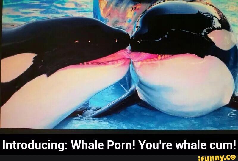 Whale Porn