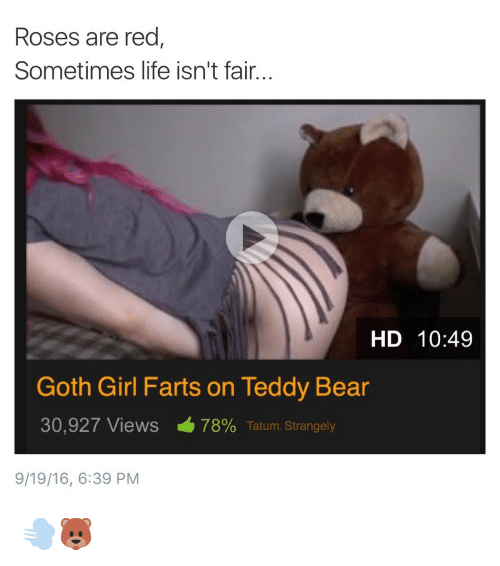Fart teddy bear