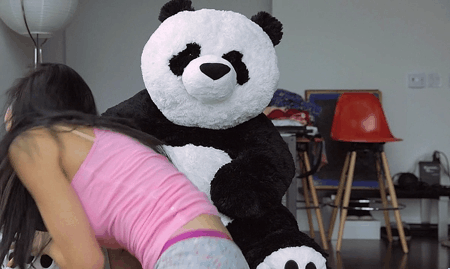 Willow reccomend stuffed panda